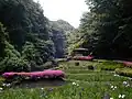ツツジ