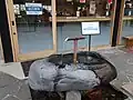 湧水の飲水口（名水百選）