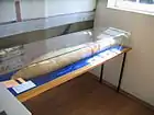 タバコ博物館の巨大な葉巻