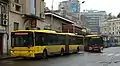 二車体連節バス