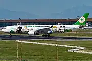 エアバスA330-300（バッドばつ丸ジェット）