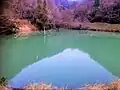 堤防から見た立石池