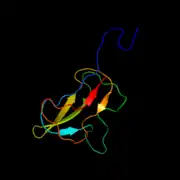 E. coli ACCのビオチンカルボキシルキャリアタンパク質サブユニット