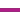 STRq fuchsia