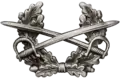 ドイツ連邦軍（陸軍の兵と下士官）
