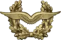 ドイツ連邦軍（空軍の兵と下士官）