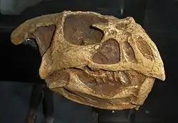 バガケラトプス