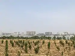 百里洲から望む長江と対岸の市街地