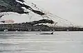 ネコ湾（英語版）にて