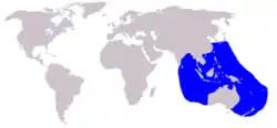 カツオクジラの通常の生息域