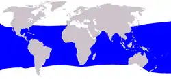 ニタリクジラ・カツオクジラ・ライスクジラ（英語版）等の通常の生息域