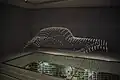 展示物