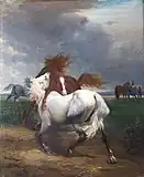 争う馬
