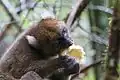 食事の様子。