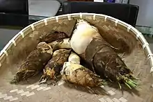 春のタケノコ