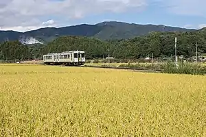 阿武隈高地・大滝根山を背に走る110系気動車(神俣駅 - 小野新町駅間)