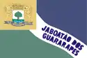 ジャボアタン・ドス・グアララペスの市旗