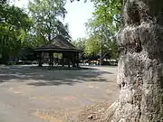 野外音楽堂