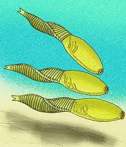 バンフィア
