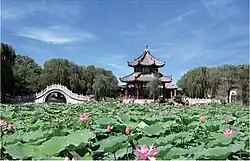 古蓮花池