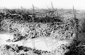 1916に撮影された、ボーモンタメルの有刺鉄線