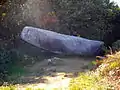 聖コノガンのボート