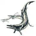 バシロサウルス（想像図)