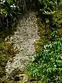 お題目岩