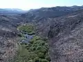 山火事でも燃え残った一画