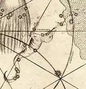 ヨハン・バイエルの星図『ウラノメトリア』（1603年）に描かれた Apis（みつばち）。