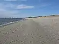 人工海浜「幕張の浜」(遊泳禁止)