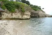 断崖状の海岸の一例(フィリピン共和国バタンガス州ナスグブ町の海岸)