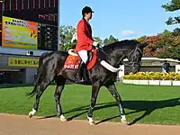 京都競馬場(ビートブラック)