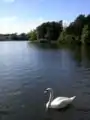 ミルダム湖