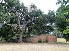 ビーチワースの精神病院のハハァ（外側）