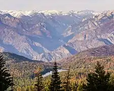 2016年4月現在のカリフォルニア州ヒューム湖でのアメリカマツノキクイムシの被害