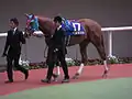 桜花賞