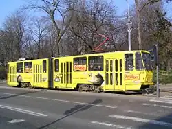 路面電車（11番系統。タトラ製二車体連節車）