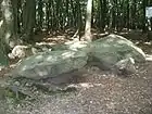 悪魔のパン捏ね桶