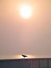 夕日の美しさでは定評がある。
