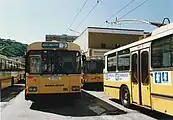 325(1989年撮影)