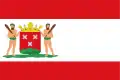 Flag of Bergen op Zoom