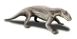 ビアルモスクス Biarmosuchus
