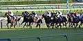 スプリンターズS前詰まりになり馬群に沈むビッグアーサー（矢印）
