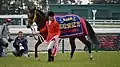 高松宮記念優勝馬服