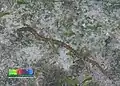 体表に疣状突起が見える