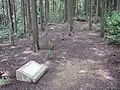 掘立柱建物跡建物柱8本を標示。