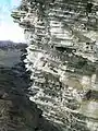 オークニー諸島のコロニー遠景。切り立った断崖にウミガラスとフルマカモメの繁殖地がある