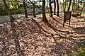 築地土塀跡