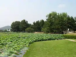 本丸址公園